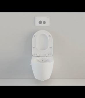 Creavit - Entegre Taharet Musluklu Klozet Montaj Videosu - Combined Bidet Toilets Installation